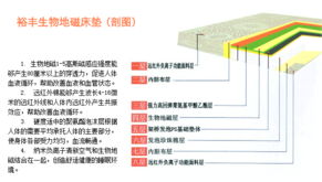 泰安市裕豐科技 融合計(jì)算機(jī)技術(shù)開發(fā)，引領(lǐng)健康寢具新篇章
